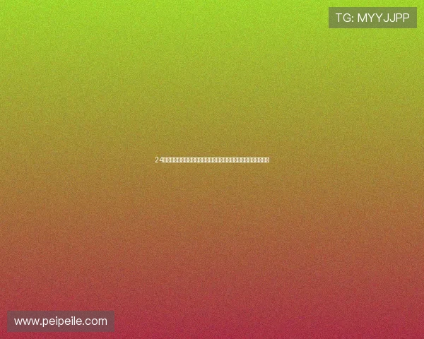 24免费体育直播平台全天覆盖热门赛事实时高清观看指南精彩不断体验